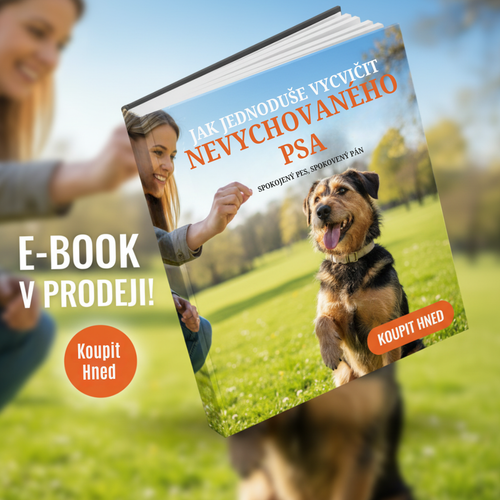 Jak jednoduše vycvičit nevychovaného psa